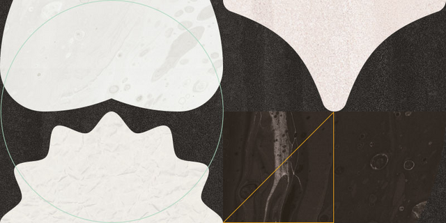 Abstracts