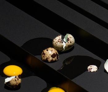 FENIX® Innovative Materials: Removing Stains