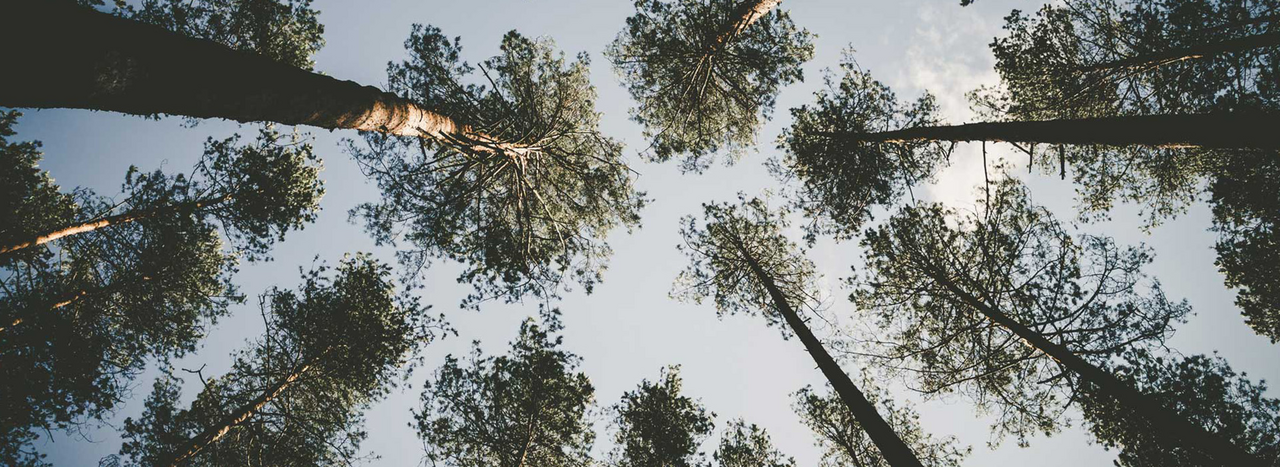 Article Header