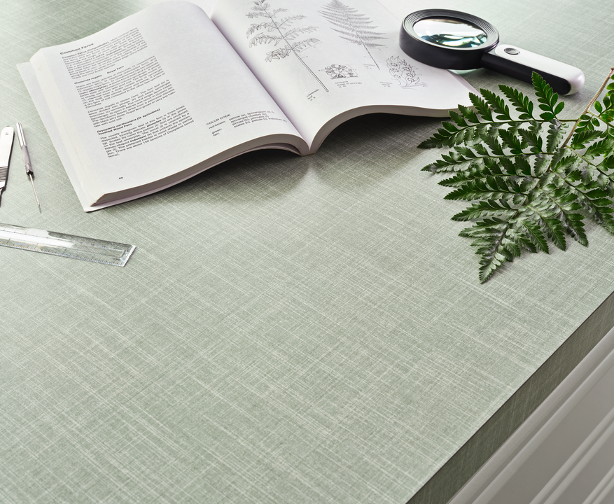 Article Header