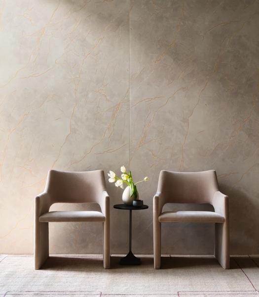Shot 13-8253_Gold Veined Taupe Marble.tiff