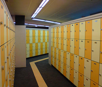 Formica Compact