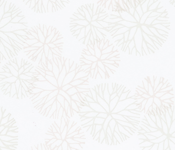 November - Willow