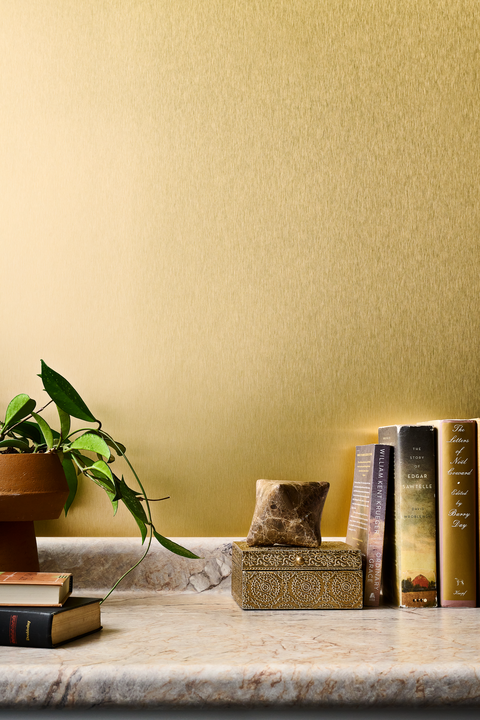 A metallic gold wall background with books and a plant in the foreground.