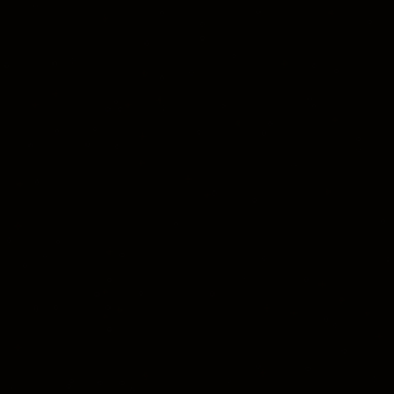 A black swatch