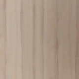 Frassino Americano