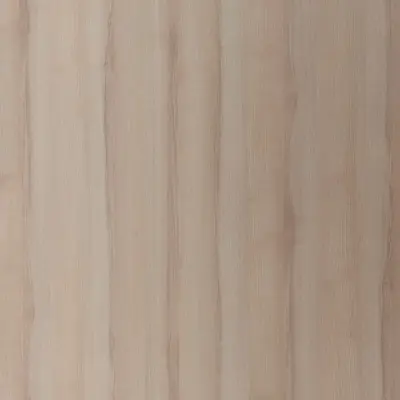 Frassino Americano