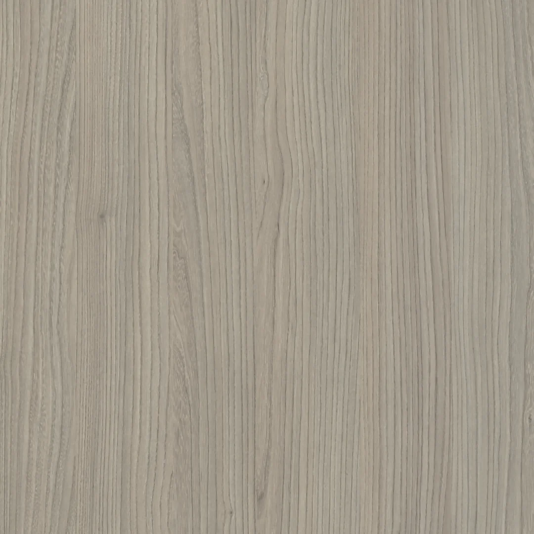 Olmo Grigio