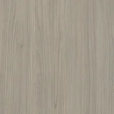 Olmo Grigio
