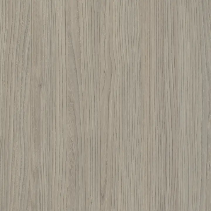 Olmo Grigio
