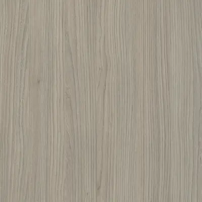 Olmo Grigio