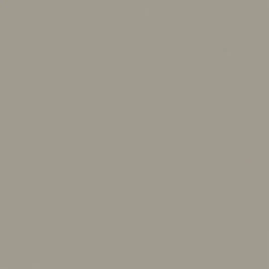 Sarum Grey