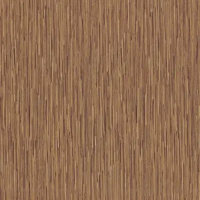 Rattan Cane