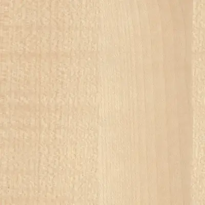 Clear Maple