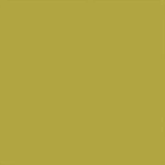 Wasabi