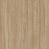 Elegant Oak