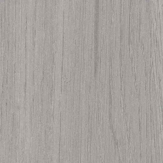 Ventura Oak
