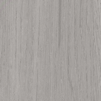 Ventura Oak