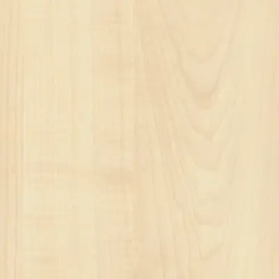 Mountain Maple
