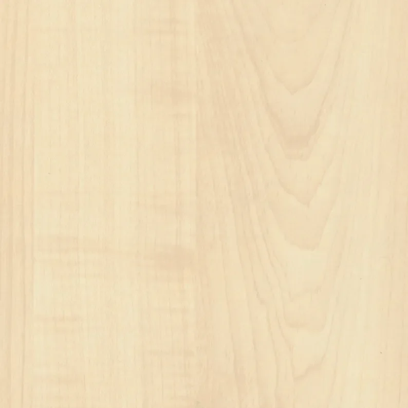 Mountain Maple