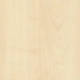 Mountain Maple