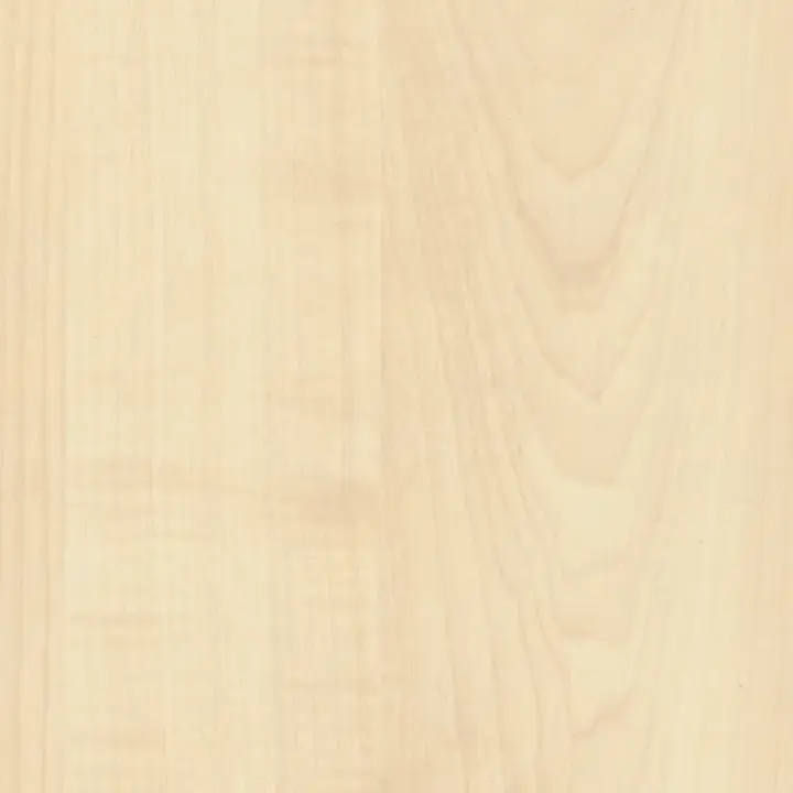 Mountain Maple
