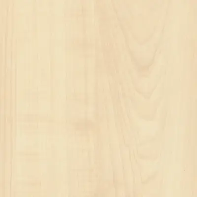 Mountain Maple
