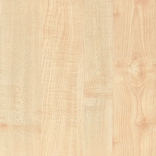Manitoba Maple