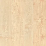 Manitoba Maple