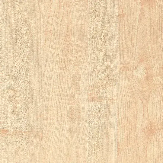 Manitoba Maple