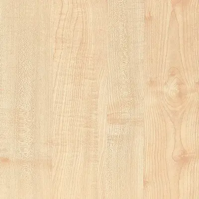 Manitoba Maple