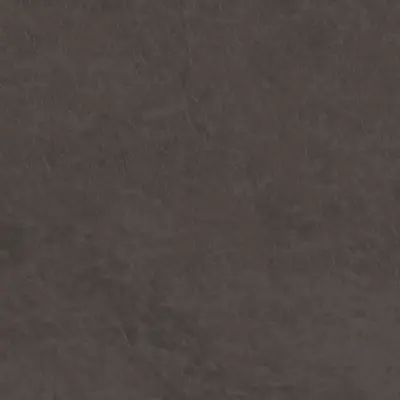 Graphite Monolith