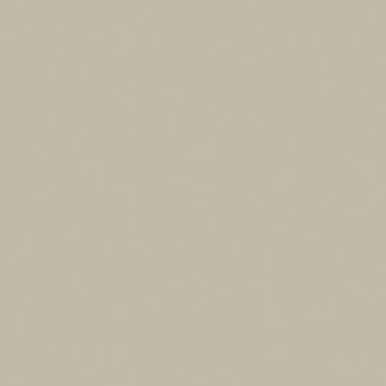 Oyster Grey