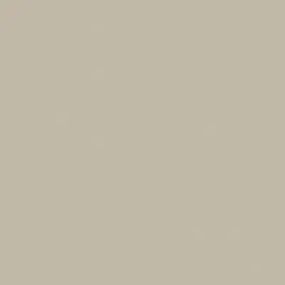 Oyster Grey