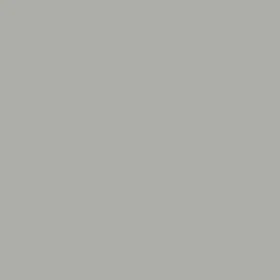 Plaster Grey