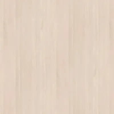 Pure Beech