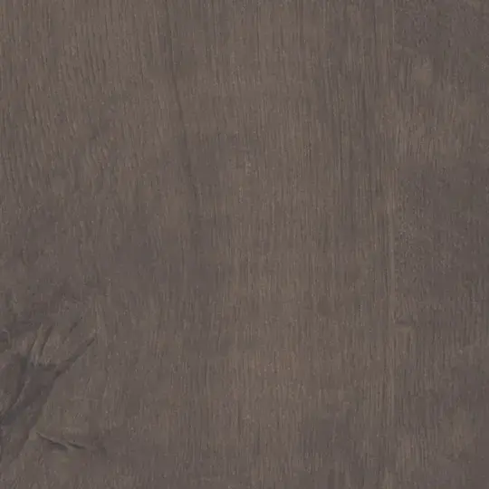 Quercus Marron