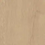 Quercus Beige