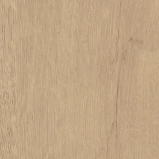 Quercus Beige