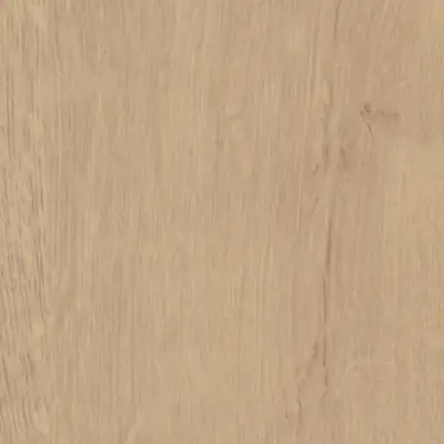 Quercus Beige