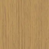 Evergreen Oak