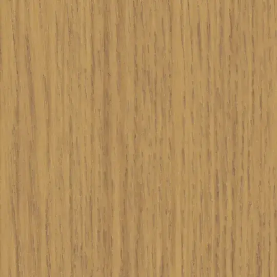 Evergreen Oak