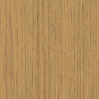 Evergreen Oak