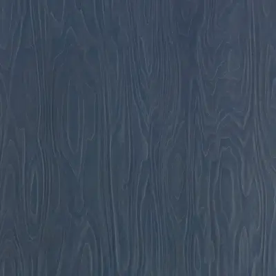 Dark Sky Birchply