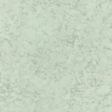 Platinum Cloud