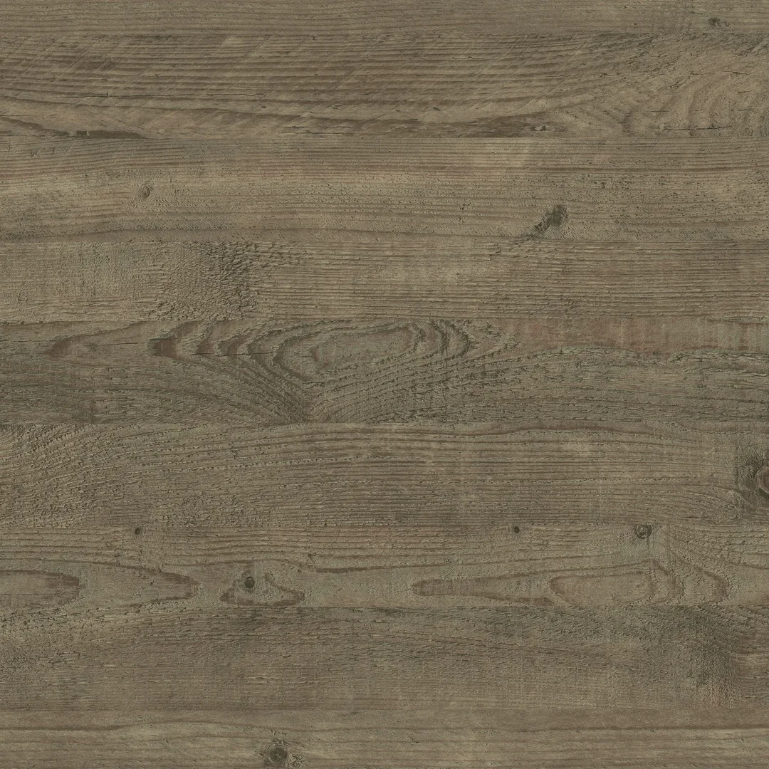 Ravine Wood