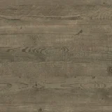 Ravine Wood