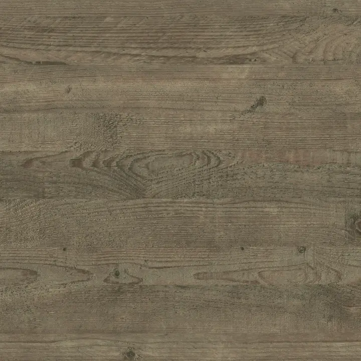 Ravine Wood