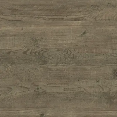Ravine Wood