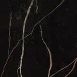 Sahara Noir